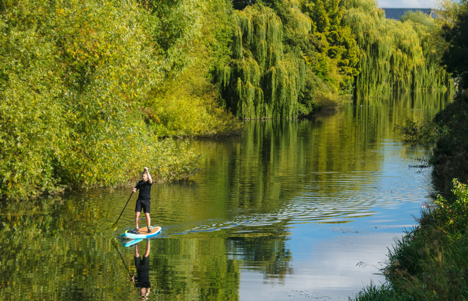 Paddle Boarding