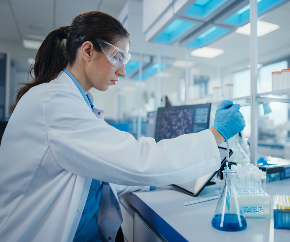 A rich talent pool on the doorstep